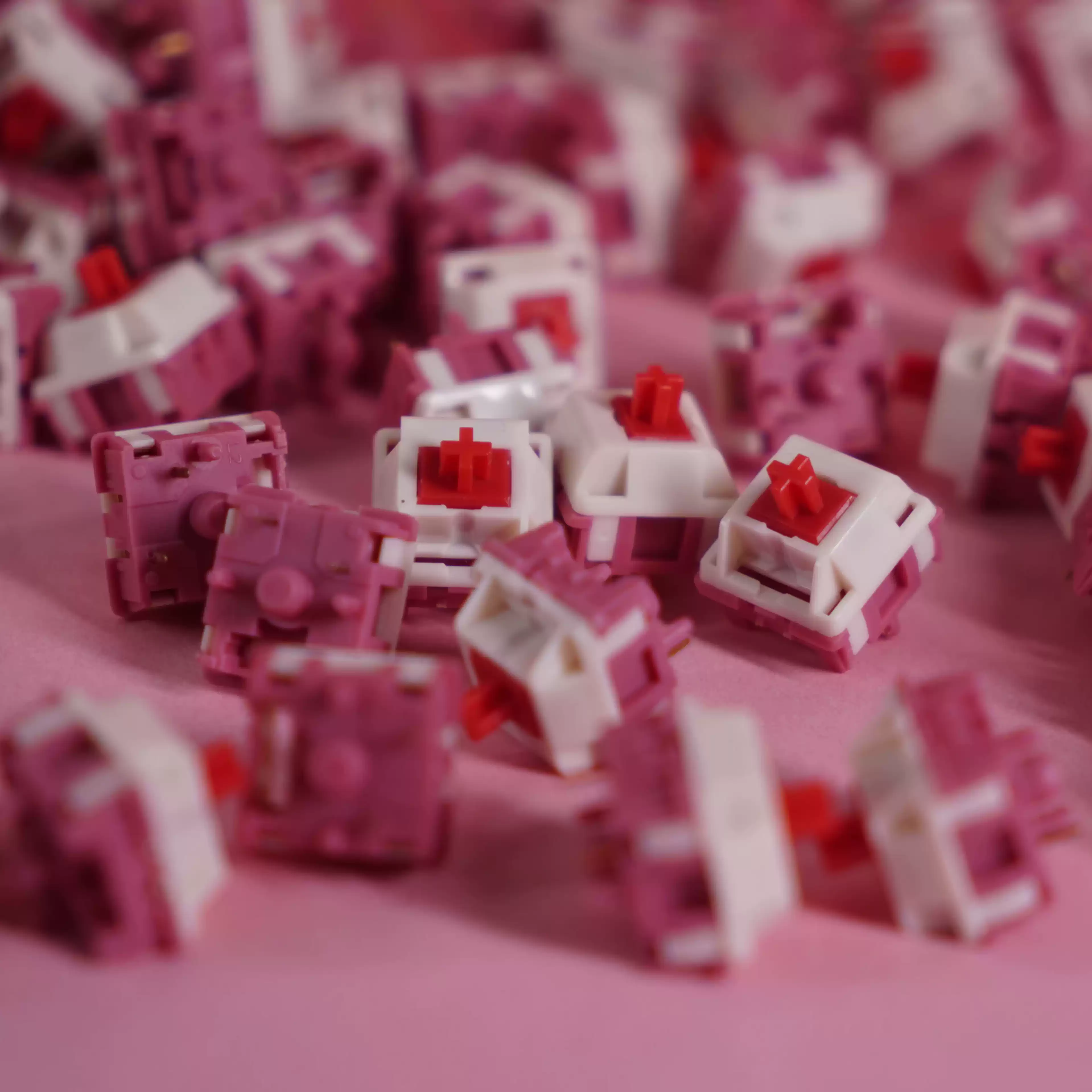 HMX - Darling Linear Switches - Image 4