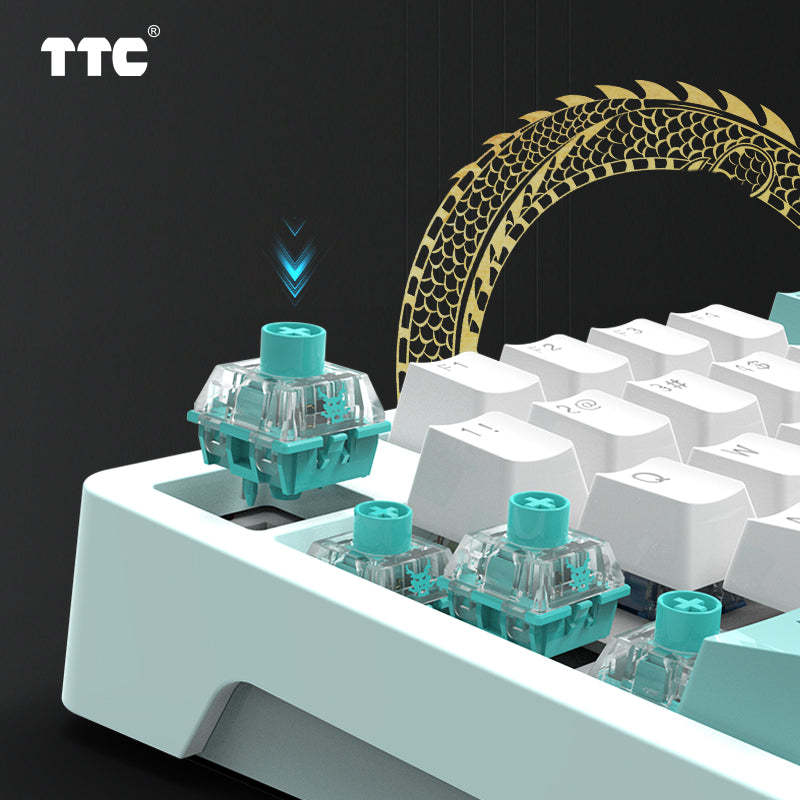TTC - Qing Loong Linear Mechanical Switches - Image 4